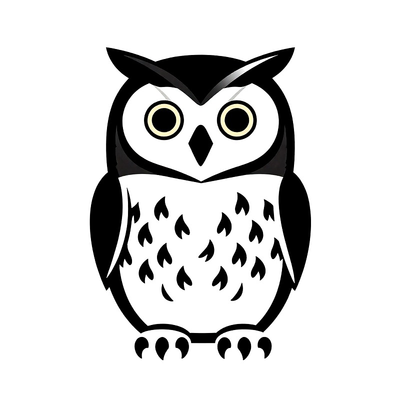 Owl Heat Transfer Vinyl HTV Ir - Iron On Patch recension och pris